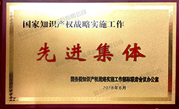 國家知識產(chǎn)權(quán)戰(zhàn)略實(shí)施工作先進(jìn)集體